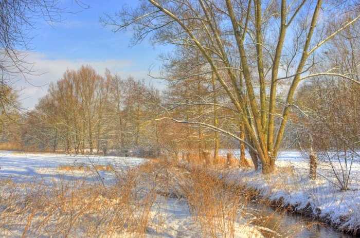 Winterimpressionen am Waldrand (Bild: Steffen Remmel, dpg_foto_0065.jpg)