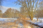 Winter (Bild: Steffen Remmel, dpg_foto_0065.jpg)
